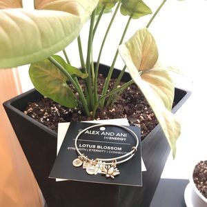Alex and Ani Lotus Blossom bracelet